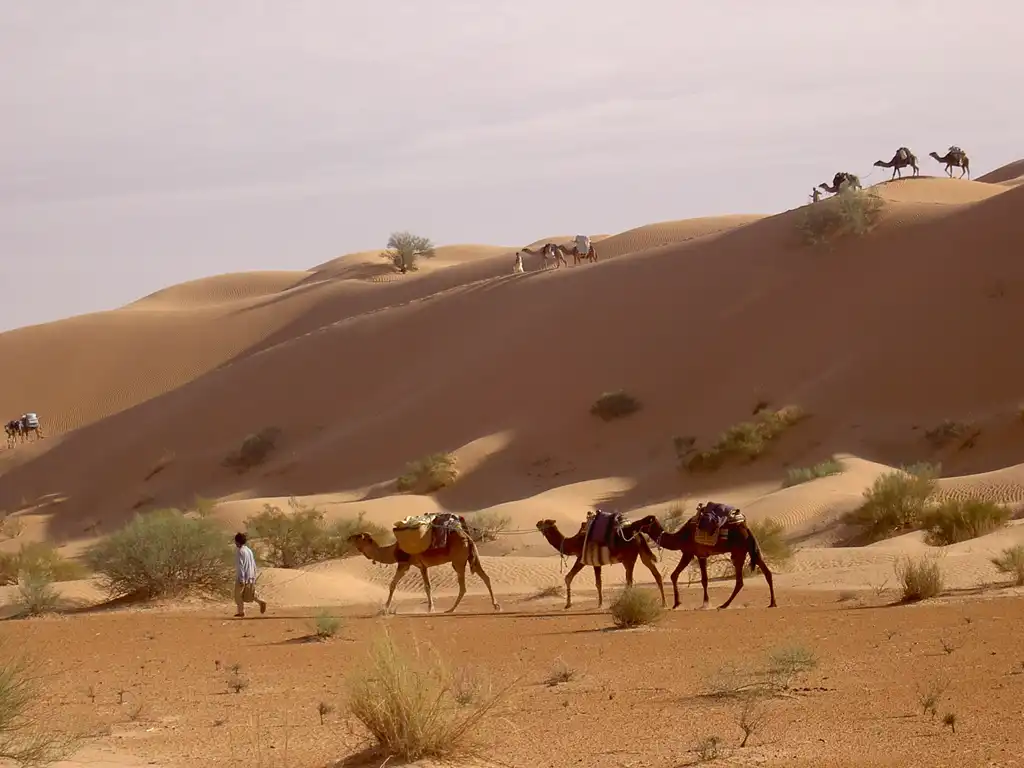 Circuit de 2 jours au cœur du désert – Camp Abdelmoula